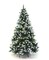 Prelit Christmas Tree Fraser Fir Color+Clear LED - HOLIDAY TREE - Artificial Christmas Tree
